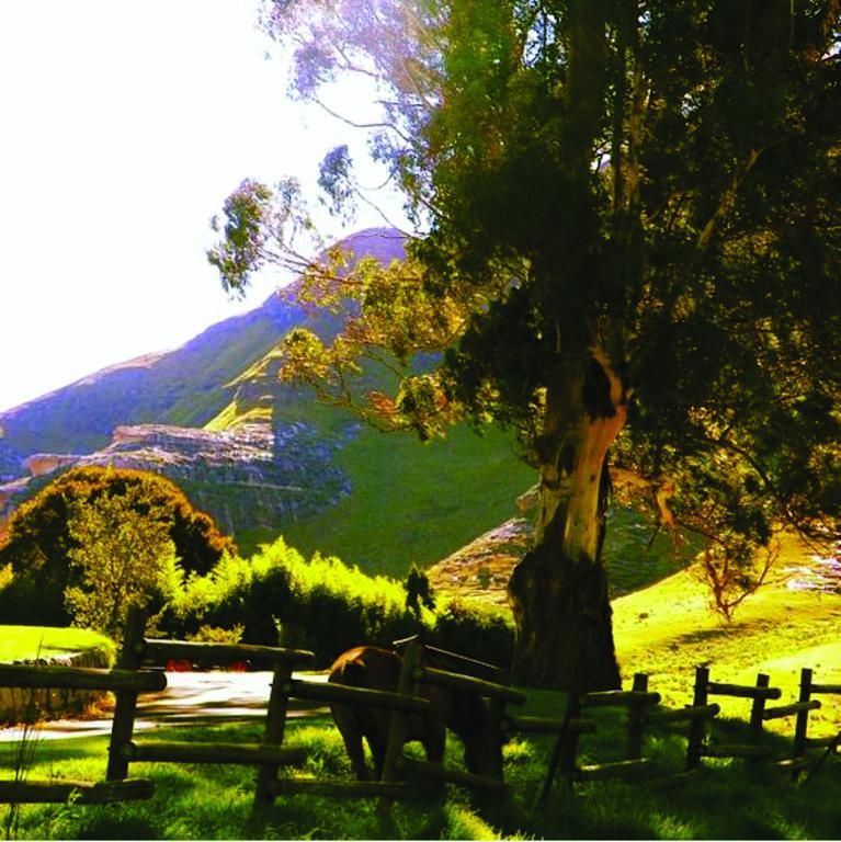 Lola'S Self Catering Accommodation Clarens Bagian luar foto